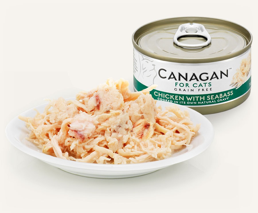 Canagan原之選 貓鮮肉主食罐75g